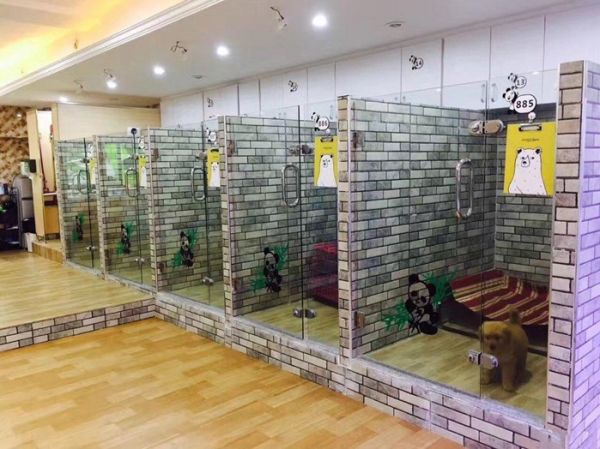 金山宠物寄养知识解答