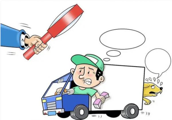 宠物托运需要准备什么材料?宠物托运有哪些重要环节?
