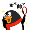 qq宠物搞笑图片