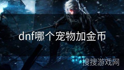 dnf哪个宠物加金币