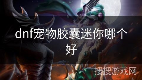 dnf宠物胶囊迷你哪个好