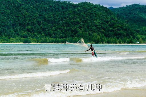 青蛙种类有几种