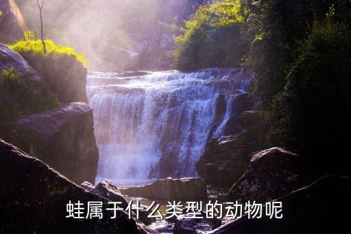 蛙属于什么类型的动物呢