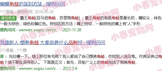 角蛙品种大全及图片