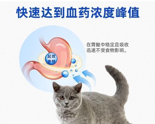 猫咪舔到消炎药该注意什么（关于宠物用药的常见误区和正确做法）