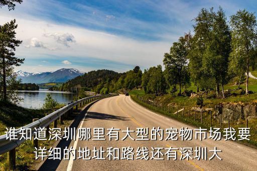 谁知道深圳哪里有大型的宠物市场我要详细的地址和路线还有深圳大