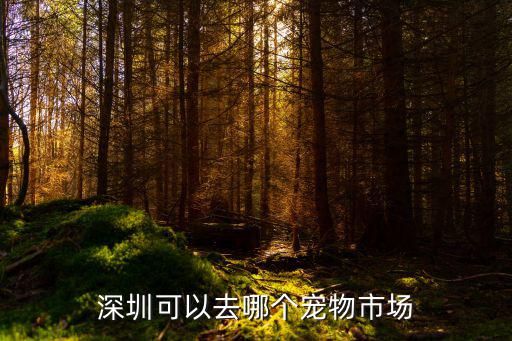 深圳可以去哪个宠物市场