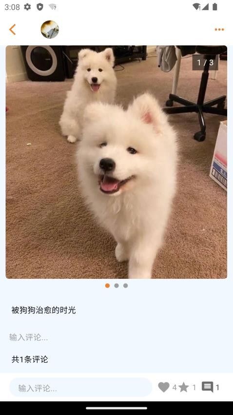 宠物街手机版