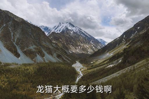 龙猫大概要多少钱啊