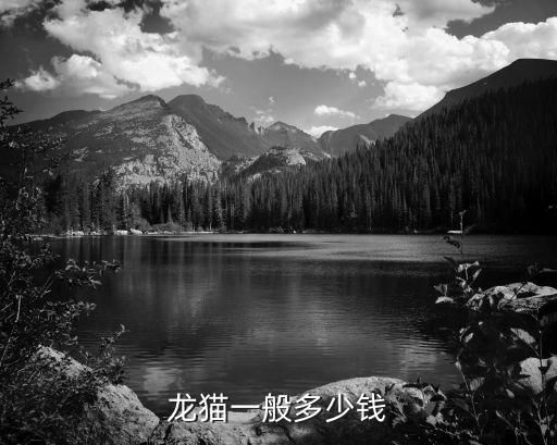 龙猫一般多少钱