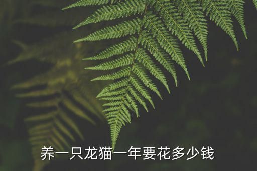 养一只龙猫一年要花多少钱