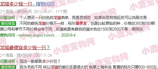龙猫多少钱一只很便宜