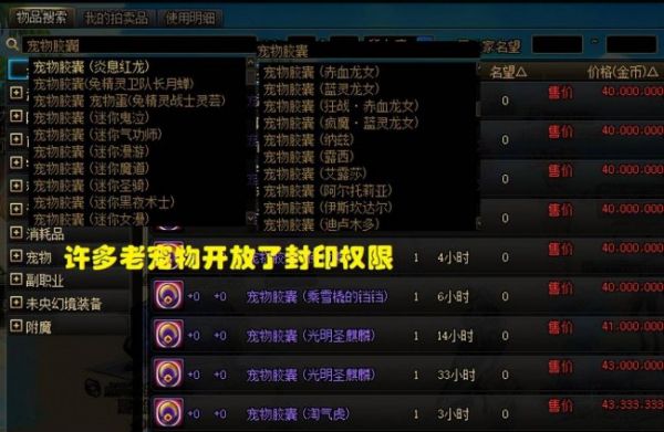 dnf宠物排行榜可交易