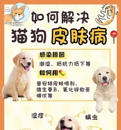 狗狗脓皮症的治疗和预防方法