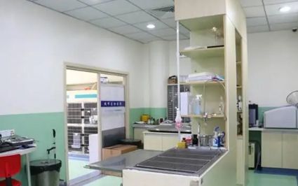 安阳宠物医院哪家比较好点