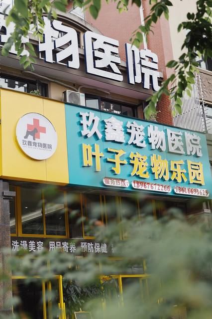 内江宠物乐园在哪里（内江宠物医院电话号码）