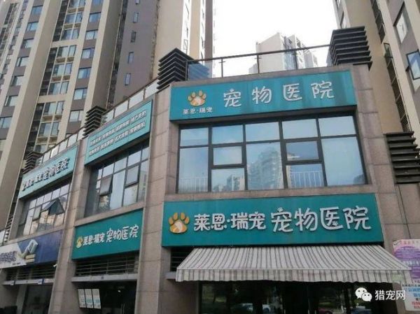 内江宠物乐园在哪里（内江宠物医院电话号码）