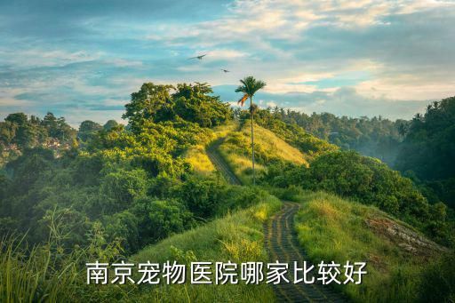 南京宠物医院哪家比较好