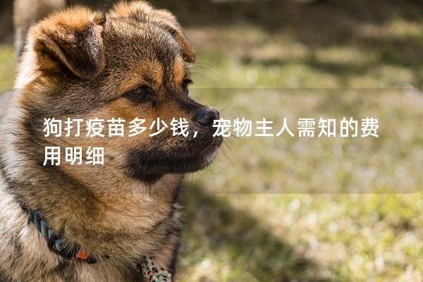 狗打疫苗多少钱，宠物主人需知的费用明细