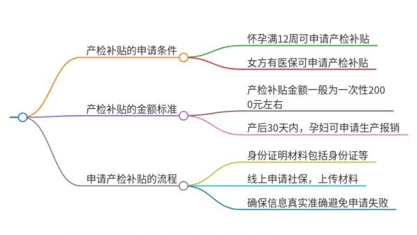 2025年福建龙岩产检补贴的条件