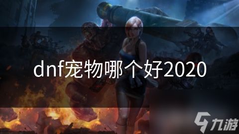 dnf宠物哪个好2020