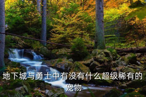 地下城与勇士中有没有什么超级稀有的 宠物