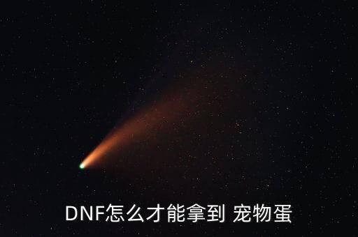 DNF怎么才能拿到 宠物蛋