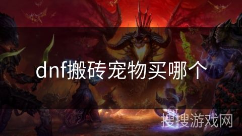 dnf搬砖宠物买哪个