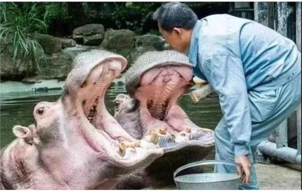 微信图片_20210623095645.jpg
