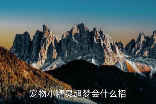 宠物小精灵超梦会什么招