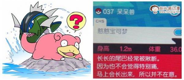 如果宠物小精灵神奇宝贝可以食用 你认为哪只最好吃