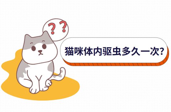 猫咪体内驱虫多久一次？