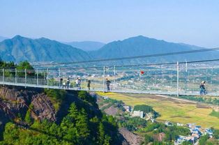 平顶山宠物医院口碑如何，周边旅游好去处是哪里？