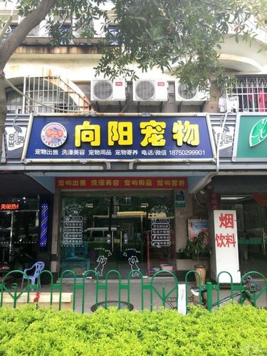 有没有24小时营业的宠物店（这附近哪里有24小时宠物店）