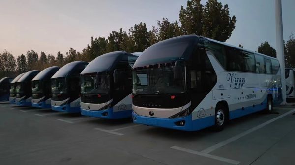 荣成到汉中大巴宠物快运2025实时反馈各+境+到+达