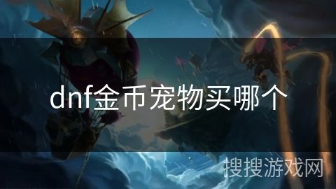 dnf金币宠物买哪个