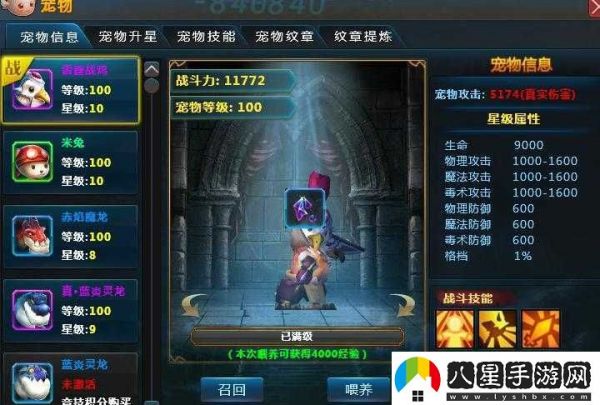 魔龙勇士之宠物系统简述