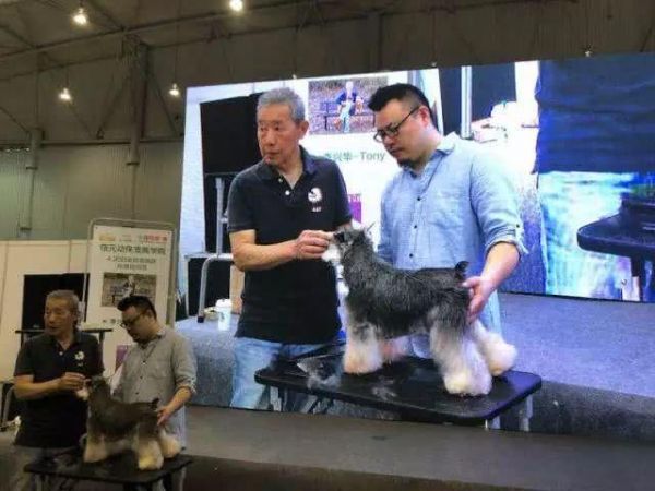 第七届成都宠博会火热进行时，未来两天精彩继续！