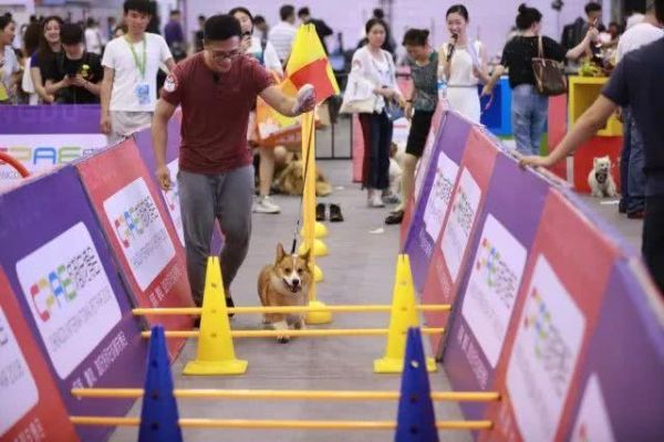第七届成都宠博会火热进行时，未来两天精彩继续！