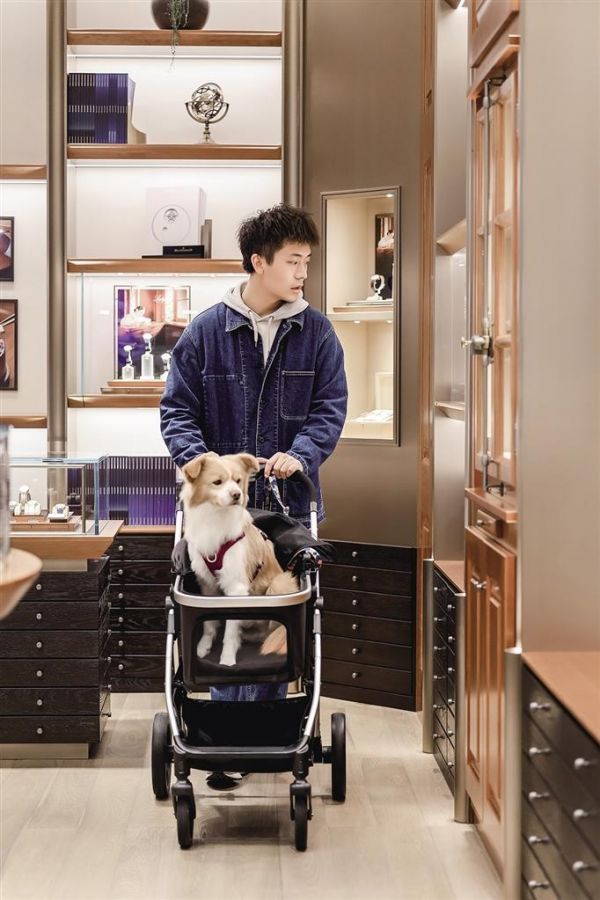 市民用宠物推车推着犬只在万象城逛街（万象城供图）