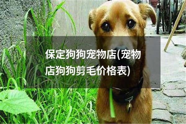 保定狗狗宠物店(宠物店狗狗剪毛价格表)