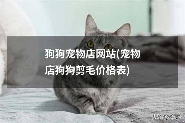 狗狗宠物店网站(宠物店狗狗剪毛价格表)