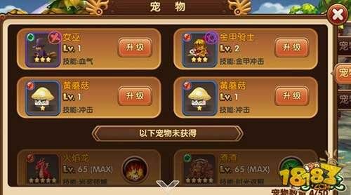 超级冒险家宠物养成攻略 超燃合体战天下