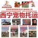宠物托运全国各地找专业高品质服务的帮宠帮宠物托运公司