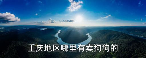 重庆地区哪里有卖狗狗的