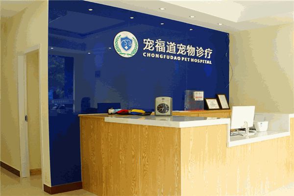 宠福道宠物诊所
