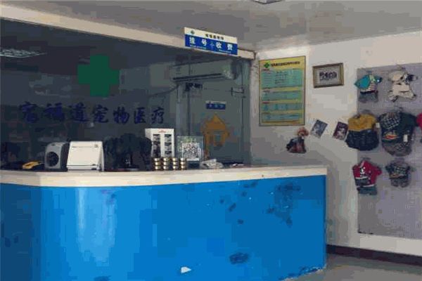 宠福道宠物诊所