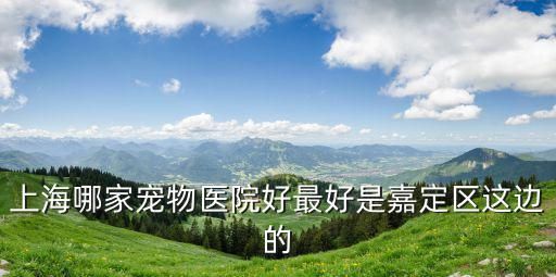 上海哪家宠物医院好最好是嘉定区这边的