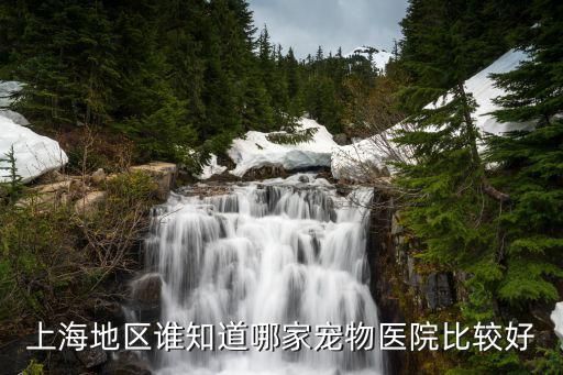 上海地区谁知道哪家宠物医院比较好