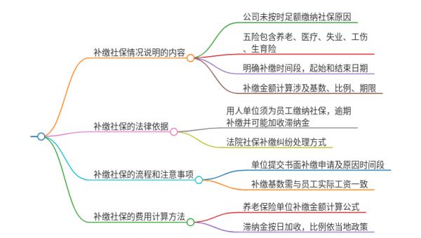 单位补缴社保情况说明怎么写